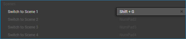 Shift&plus;G hotkey set to trigger switching to Scene 1