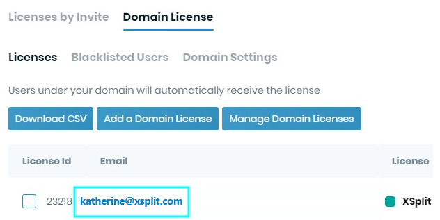 Domain Licensing - showing the email has automatically redeemed a slot upon logging in