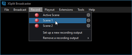 Recording Scenes 1 and 2 simultaneously - process