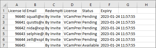 Team Licenses roster as shown in in Microsoft Excel after importing