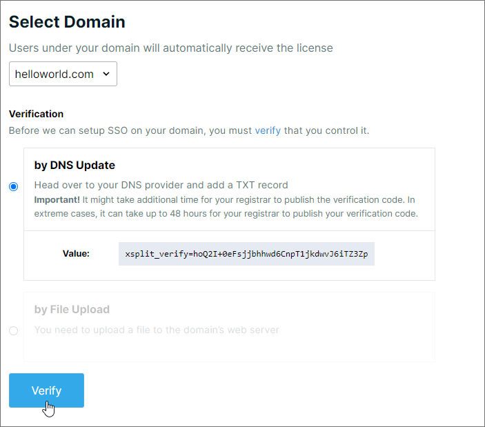 SSO verification by DNS update is selected