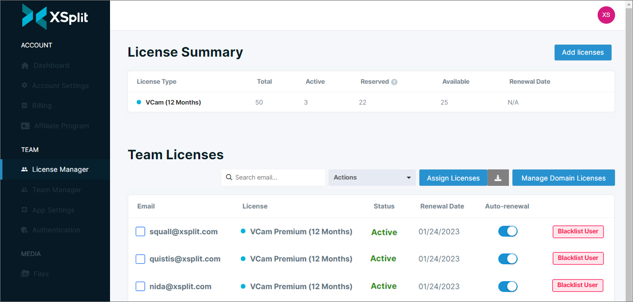 License Manager showing users are now using domain licenses.
